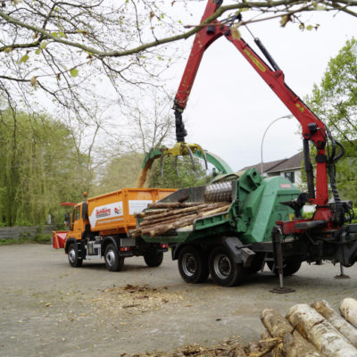 Sascha Voß und sein saftgrüner Unimog U 530: Mit 300 PS Bäume zu Kleinholz machen