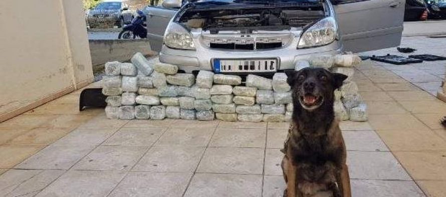 Σκύλος της Αστυνομίας βρήκε κρύπτες ναρκωτικών σε αυτοκίνητο