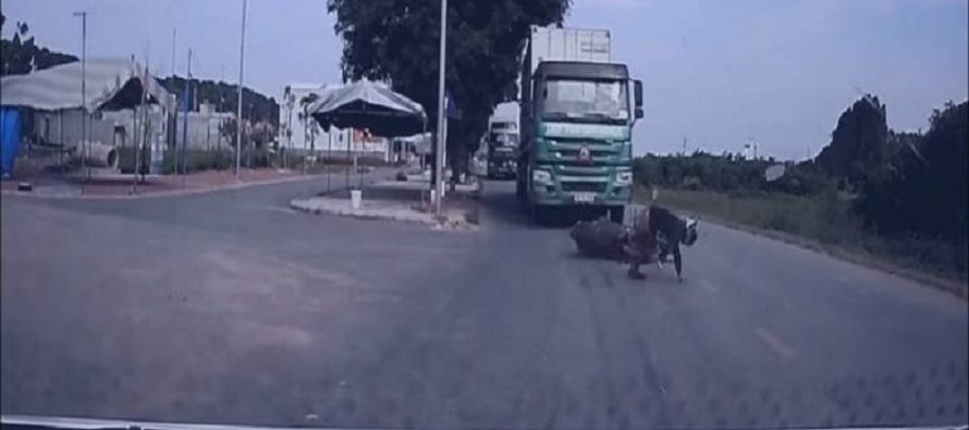 Μοτοσικλετιστής παραλίγο να βρεθεί κάτω από τις ρόδες φορτηγού (video)