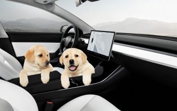 Με κλιματισμό και μουσική μέσα στα Tesla ο σκύλος όταν απουσιάζει ο οδηγός (video)
