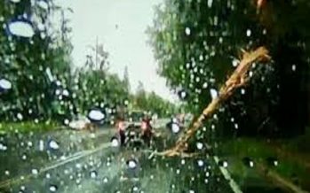 Κεραυνός κατέστρεψε ταυτόχρονα δέντρο και αυτοκίνητο (video)
