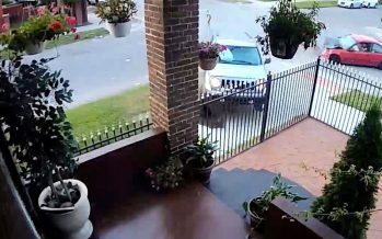 Αστυνομικός παραβίασε stop και συνέλαβε αυτόν που τράκαρε (video)