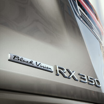 Lexus RX Sport (5)