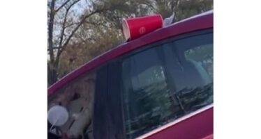 Ξέχασε το ποτήρι στην οροφή του αυτοκινήτου φρέναρε και λούστηκε με σόδα! (video)