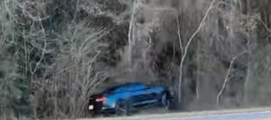 Τσεκούρωσε δέντρα η Camaro που έφυγε σε κόντρα (video)