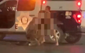 Σκηνές παραφροσύνης στη μέση του δρόμου – Γυμνός άντρας χτύπησε αστυνομικό και του έκλεψε το περιπολικό (βίντεο)