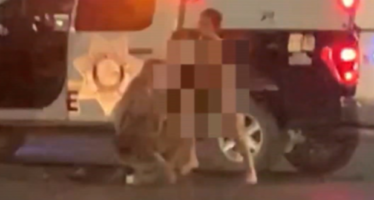Σκηνές παραφροσύνης στη μέση του δρόμου – Γυμνός άντρας χτύπησε αστυνομικό και του έκλεψε το περιπολικό (βίντεο)