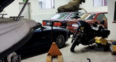 Τάρανδος μπούκαρε σε συνεργείο και διέλυσε δυο BMW (βίντεο)